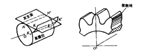 渐开线直齿圆柱齿轮的渐开线形成